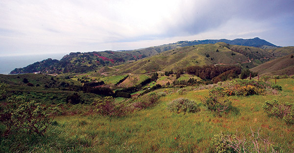 Green Gulch Farm Watershed Panorama