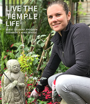 Live the Temple Life. Guest Student Program