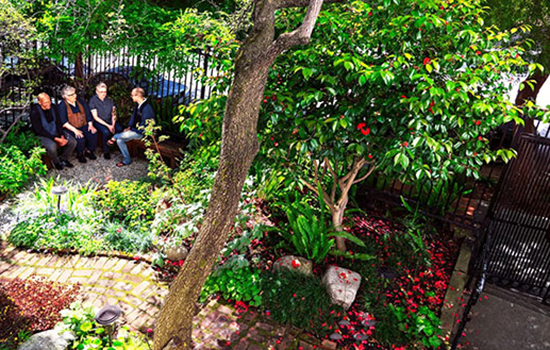 City Center Side Garden People Talking