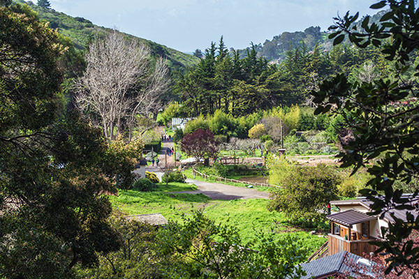 Green Gulch Farm and Garden