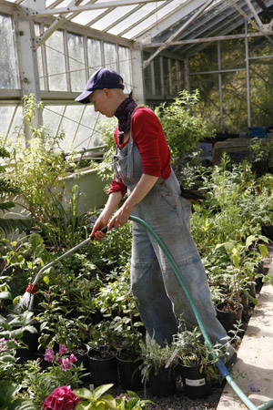 Farm and Garden Apprentice watering green house plants