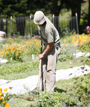 Green Gulch Farm and Garden Apprentice