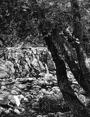 One of the Tassajara hot springs