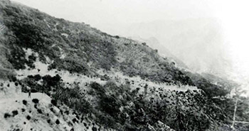 Tassajara Road circa 1900