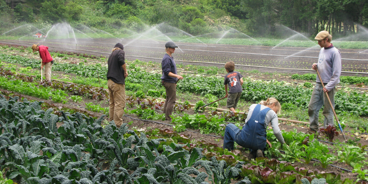 GGF Apprenticeship Programs