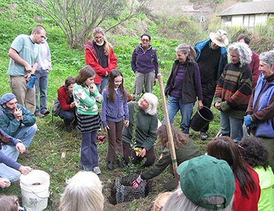 Arbor Day at Green Gulch Farm