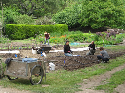 Green Gulch Garden Renovation