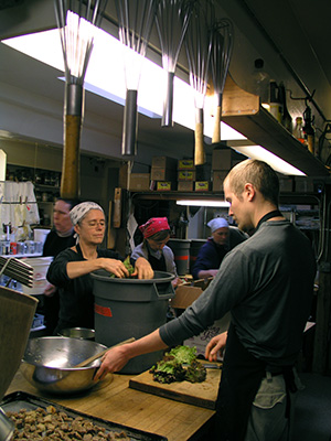 Green Gulch Farm Apprentices at work