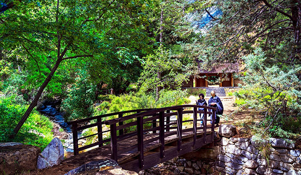 walking along a bridge path