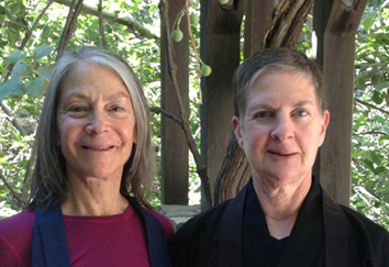 san francisco zen center online zendo