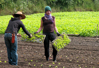 Green Gulch Farm
