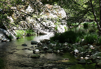 Tassajara