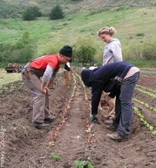 Farm and Land Steward Apprenticeship Program