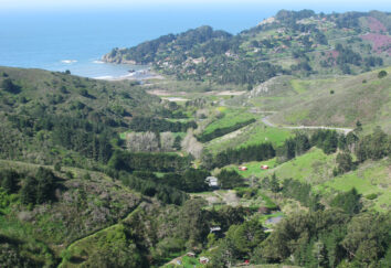 About Green Gulch