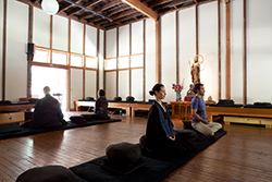 Zen Meditation & Practice