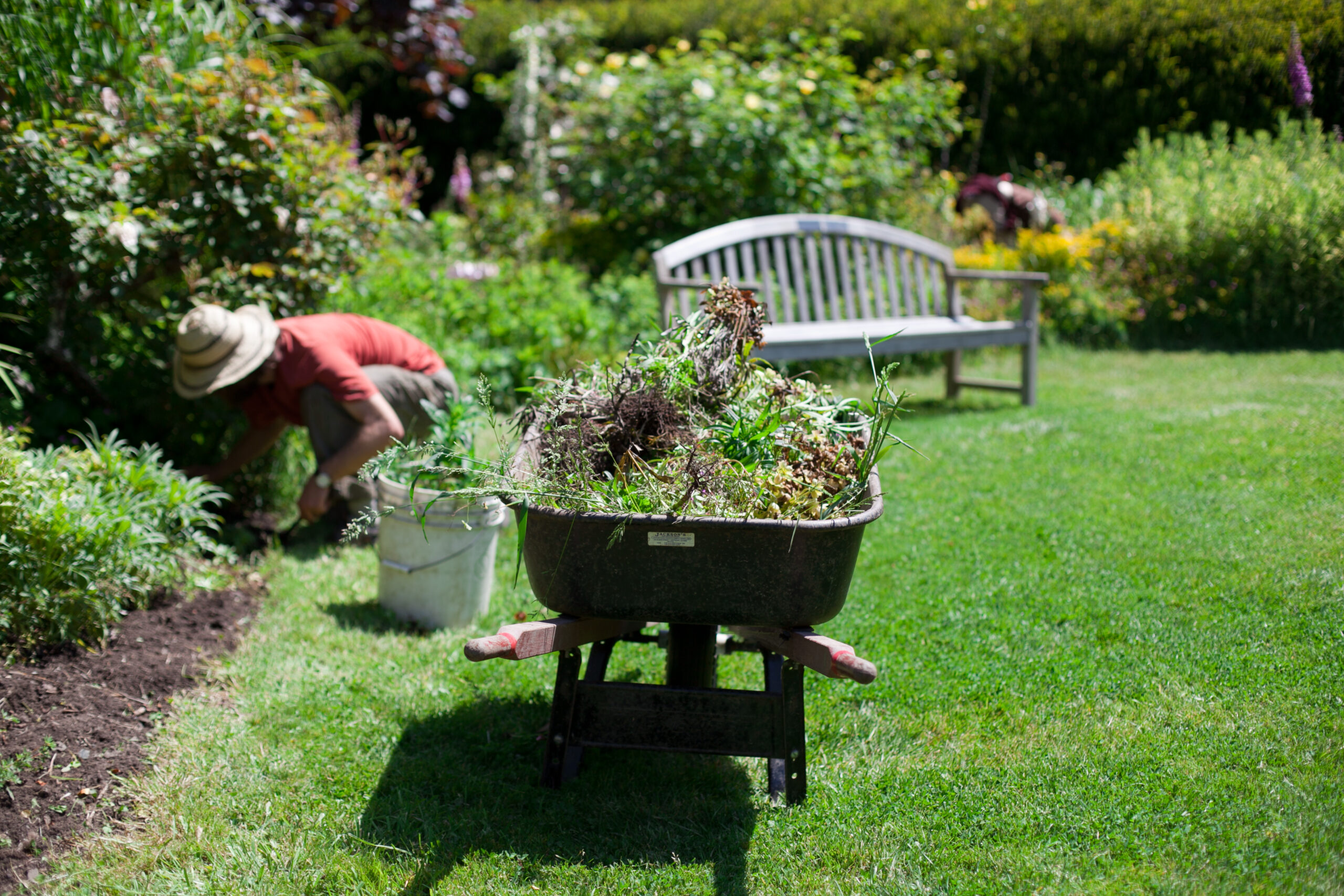 GGF Garden