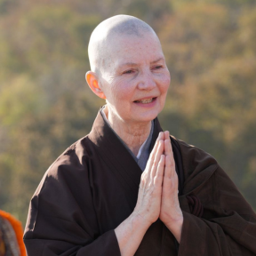 Dhammadipa